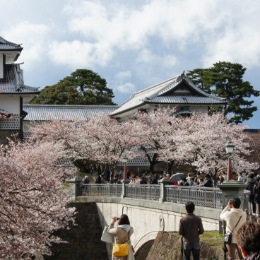 View on Kanazawa Castle and cherry trees 4