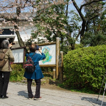 Kitanomaru Park, Visitors admiring cherry trees