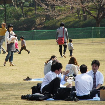 Kitanomaru Park, Visitors enjoying Ohanami