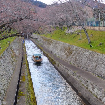Cherry Trees over Lake Biwa Canal at the entrance of Mii-dera