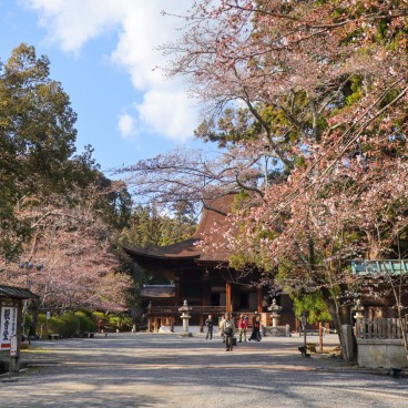 Mii-dera, Main Hall Kondo