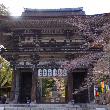 Mii-dera, Niomon Gate