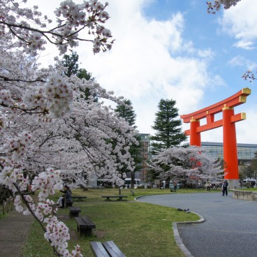Okazaki Canal, Heian-jingu shrine great torii