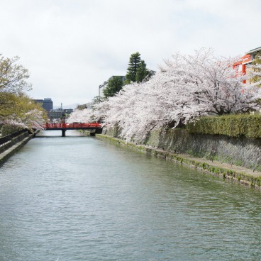 Okazaki Canal 2