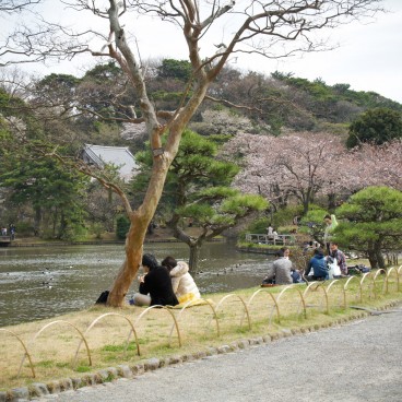 Sankei-en Garden, Yokohama, The Pond 3