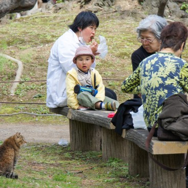 Sankei-en Garden, Yokohama, Visitors and a Cat