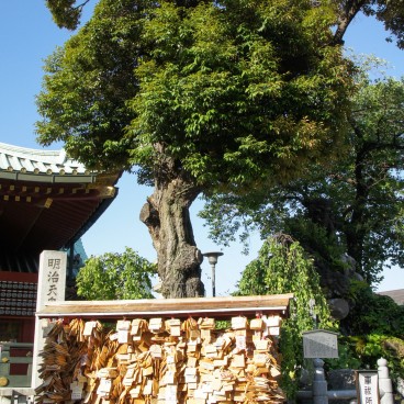 Kanda Myojin, Ema plates
