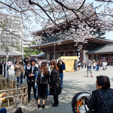 Kawasaki, Kawasaki Daishi temple during Kanamara Matsuri in April 4