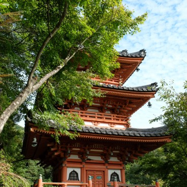 Mimuroto-ji, Sanjunoto Pagoda