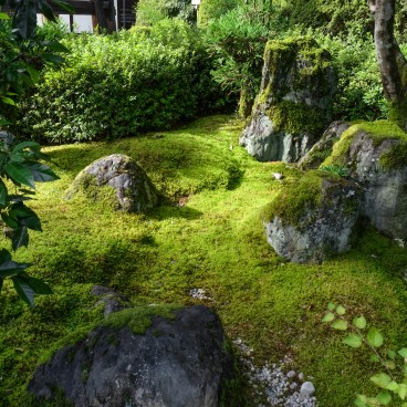 Mimuroto-ji, Mossbeds
