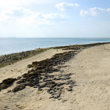 Taketomi-jima, Kaiji Beach 3