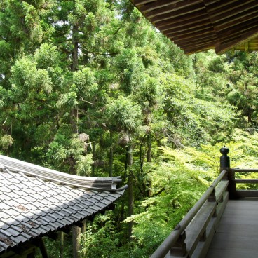 Ishiyama-dera, View on the forest