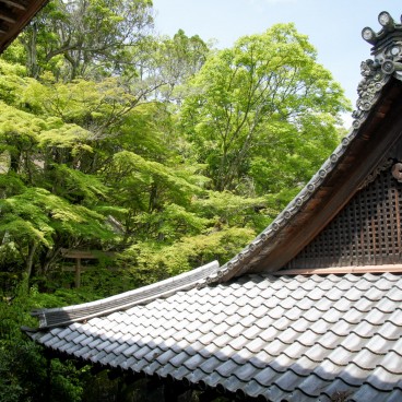 Ishiyama-dera, View on the forest and Architectural Details