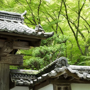 Ishiyama-dera, Architectural Details