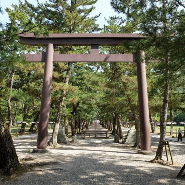 Izumo Taisha, Matsu no Sando path