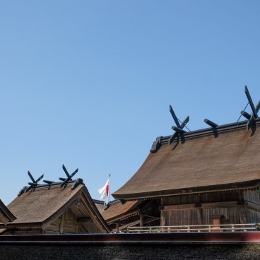 Izumo Taisha, View on taisha-zukuri style roofs