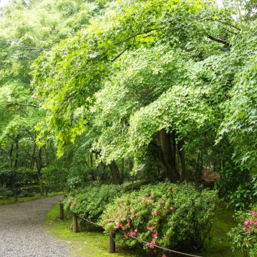 Jizo-in Temple in Kyoto, Garden 4
