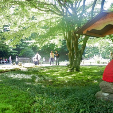 Meigetsu-in, Inner garden in June