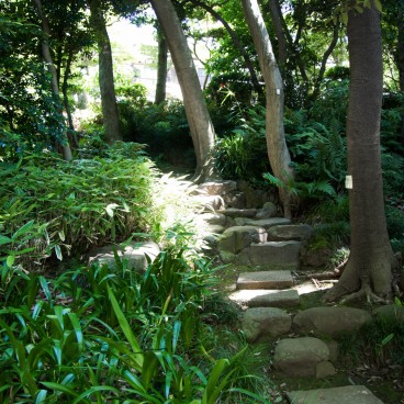 Kyu Asakura House in Shibuya, Stone path in the garden