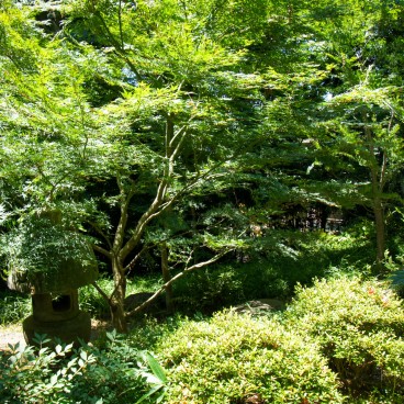 Kyu Asakura House in Shibuya, View on the garden 2