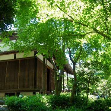 Kyu Asakura House in Shibuya, Detail