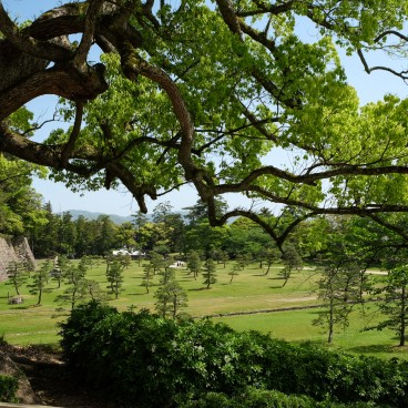 Matsue Castle, View on the Castle's grounds