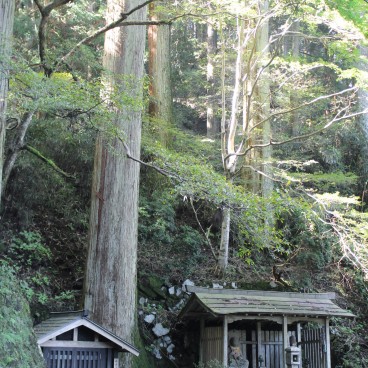 Hiei-zan Enryaku-ji 3