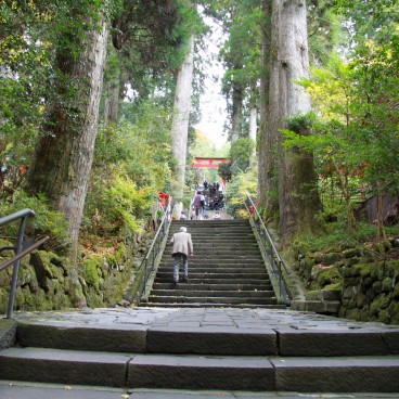 Hakone-jinja, Path to the shrine