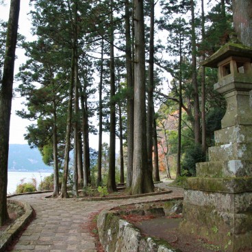 Hakone-jinja, Path in the forest 