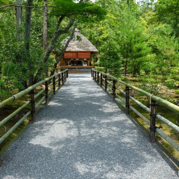 Kyoto during Coronavirus Outbreak in June 2020, Kinkaku-ji 9