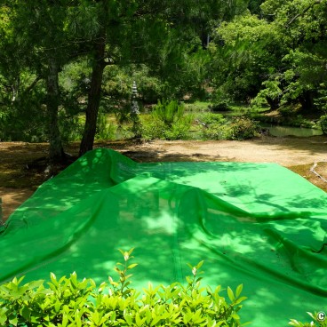 Kyoto during Coronavirus Outbreak in June 2020, Kinkaku-ji 17