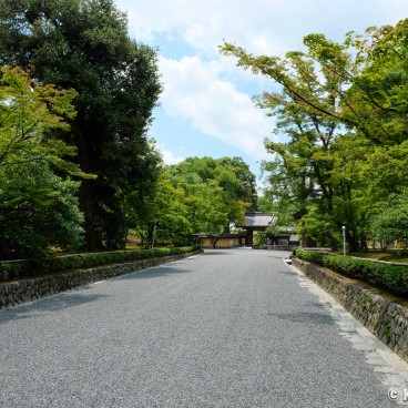 Kyoto during Coronavirus Outbreak in June 2020, Kinkaku-ji 15