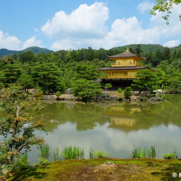 Kyoto during Coronavirus Outbreak in June 2020, Kinkaku-ji 3