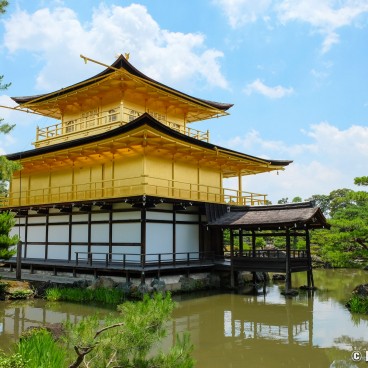 Kyoto during Coronavirus Outbreak in June 2020, Kinkaku-ji 8
