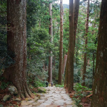  Kumano Nachi Taisha, Daimon-zaka trail on the Kumano Kodo