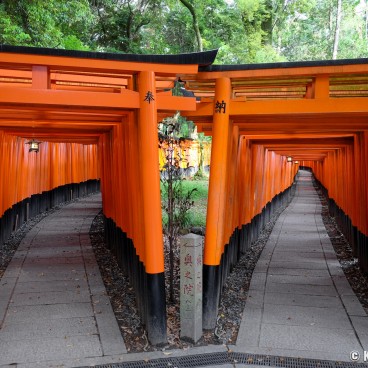 Fushimi Inari Taisha, Kyoto during Coronavirus Outbreak in June 2020 (4)