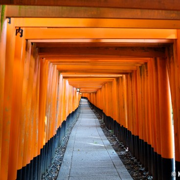 Fushimi Inari Taisha, Kyoto during Coronavirus Outbreak in June 2020 (3)