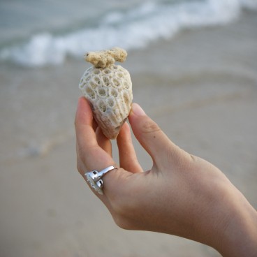 Okinawa, Coral fragment on Mibaru Beach