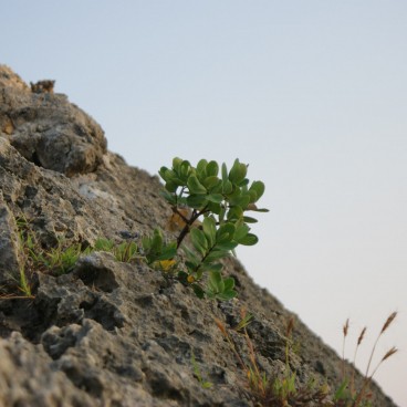 Okinawa, Rock Formations at Mibaru Beach 3