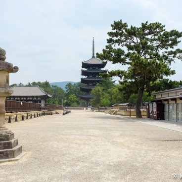 Nara during Coronavirus Outbreak in June 2020, Kofuku-ji