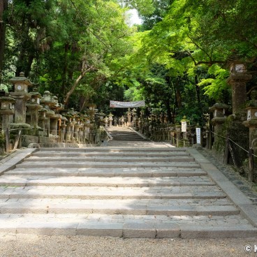 Kasuga Taisha, Nara during Coronavirus Outbreak in June 2020 (4)