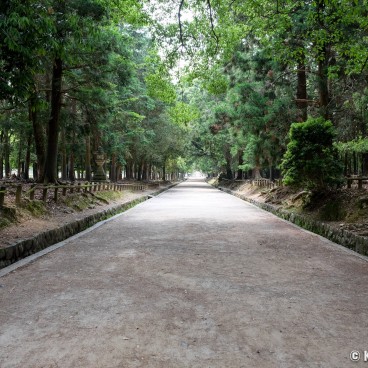Nara during Coronavirus Outbreak in June 2020, Nara Park 2
