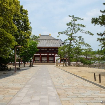 Nara during Coronavirus Outbreak in June 2020, Todai-ji 2