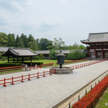 Nara during Coronavirus Outbreak in June 2020, Todai-ji 5