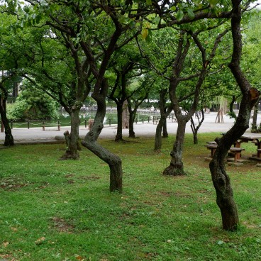 Narimasu (Tokyo), Akatsukatameike Park 2