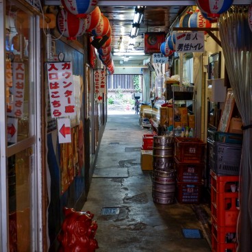 Narimasu (Tokyo), Surroundings of Chikatetsu-Narimasu station and Skip Village shotengai 2
