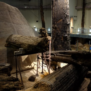 Oda, Azukihara Buried Forest