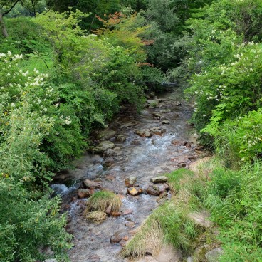 Tadewara Wetlands, Forest area (Oita)