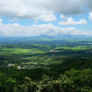 View on the Yamanami Road connecting Tadewara Wetlands 2