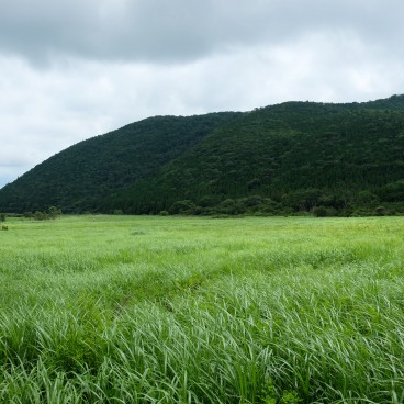 Tadewara Wetlands, Aso-Kuju National Park (Oita) 3